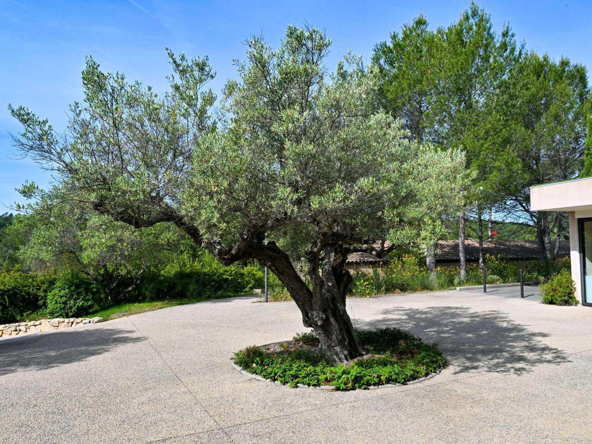Mercure Golf De Barbaroux & Hotel Brignoles